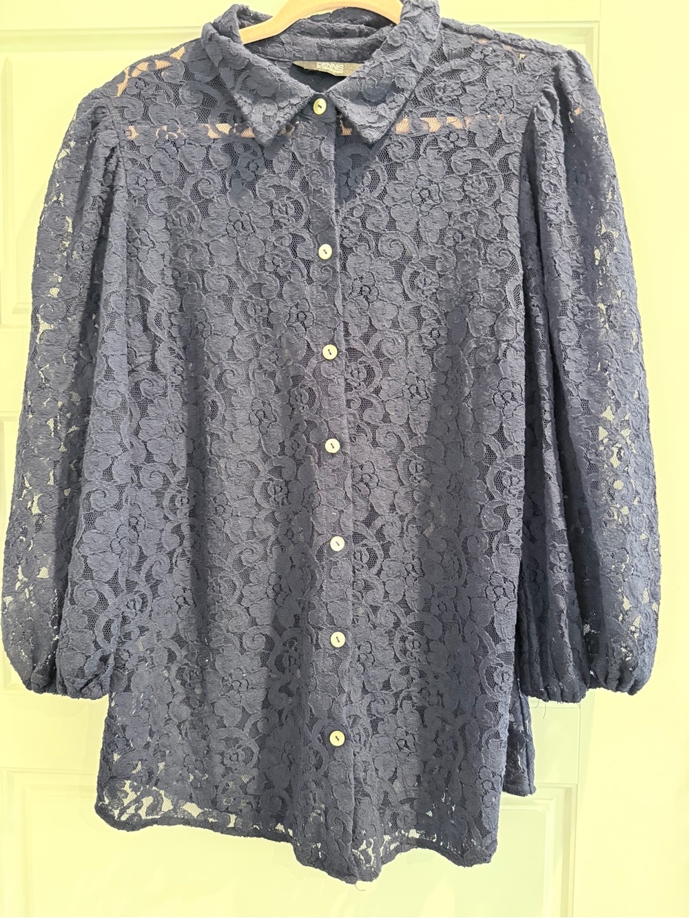 dennis basso Dusty Blue Lace Button-Down Blouse